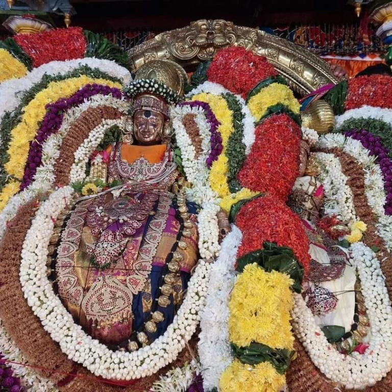 திருவண்ணாமலை கார்த்திகை தீபத் திருவிழா தேரோட்டம் : “அரோகரா” முழக்கத்துடன் ஏராளமான பக்தர்கள் பங்கேற்பு..